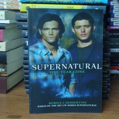 Supernatural One Year Gone